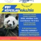 WWF képeslap kiállítás
